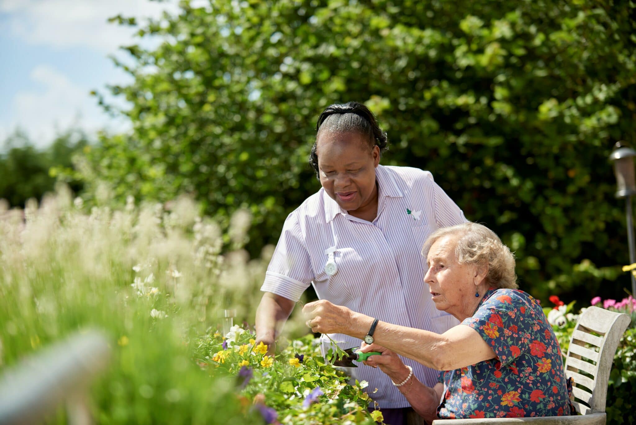 two people in a garden